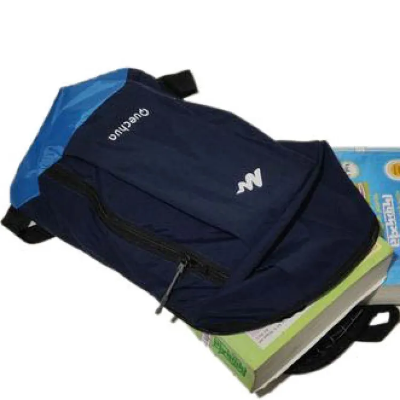 15.6 Inch Backpack [Laptop Carry, University, School, Tour, Sports, and Travel Bag] (P-1891)